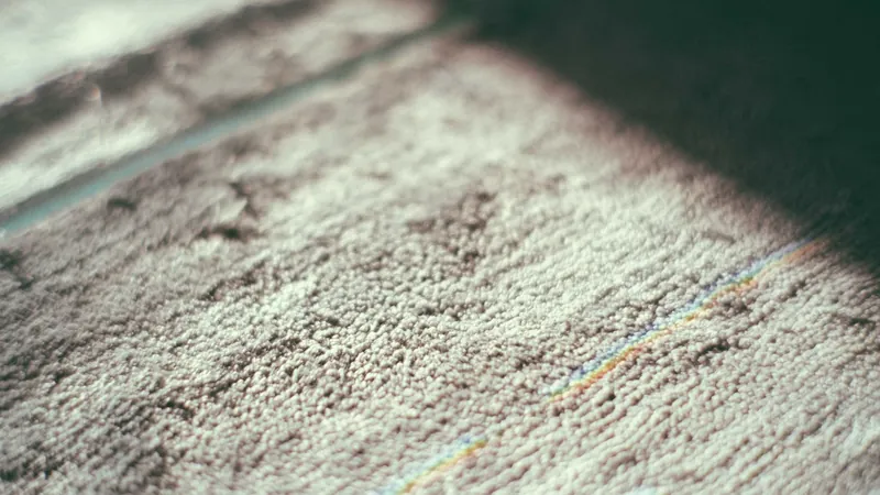 Close-up of a textured carpet with sunlight and soft shadows