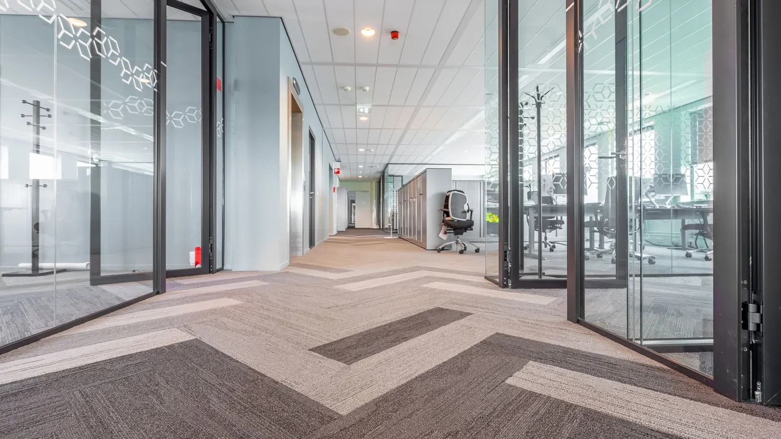 Office corridor with gray and white carpet tiles between glass-walled meeting rooms