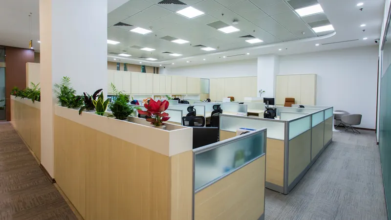 Office floor with low cubicles, planters and gray carpet under bright ceiling lights