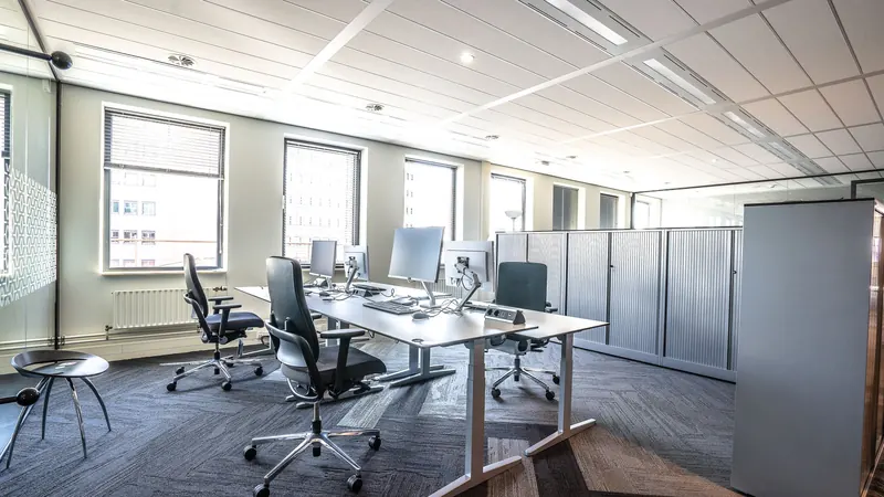 Open-plan office with height-adjustable desks, mesh chairs and patterned carpet tiles