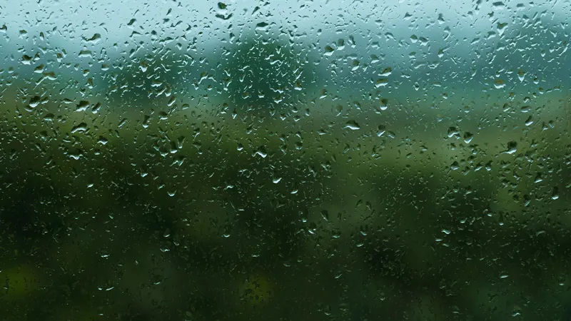 Rain drops on a window with blurred green trees outside on a gray day