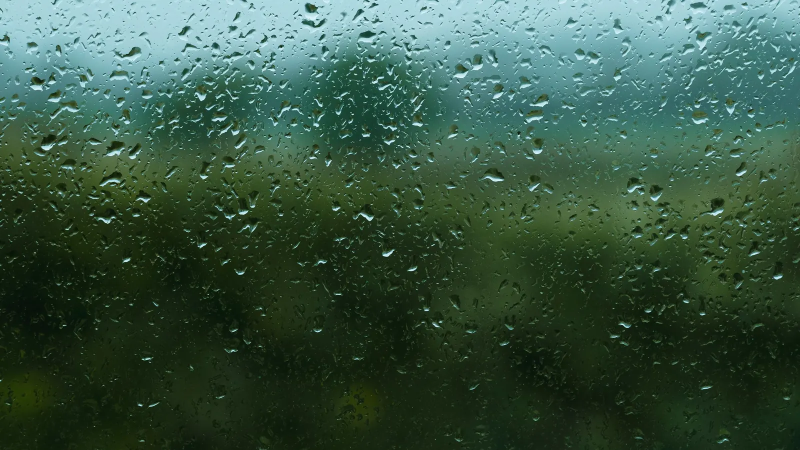 Rain drops on a window with blurred green trees outside on a gray day