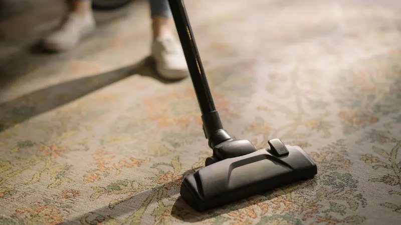 Canister vacuum head running over a patterned area rug in a sunlit room