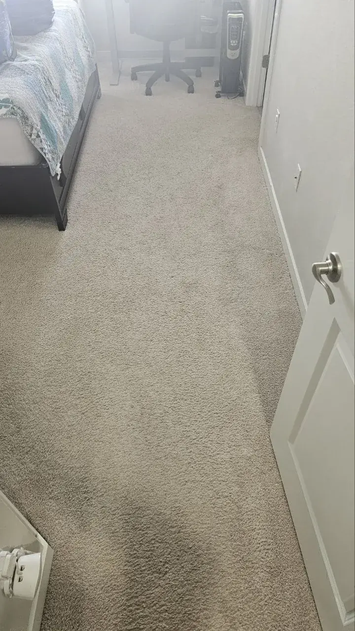 Before: bedroom carpet