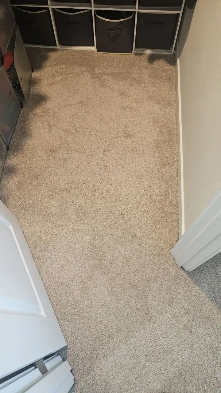 Before: bedroom carpet by the shelving