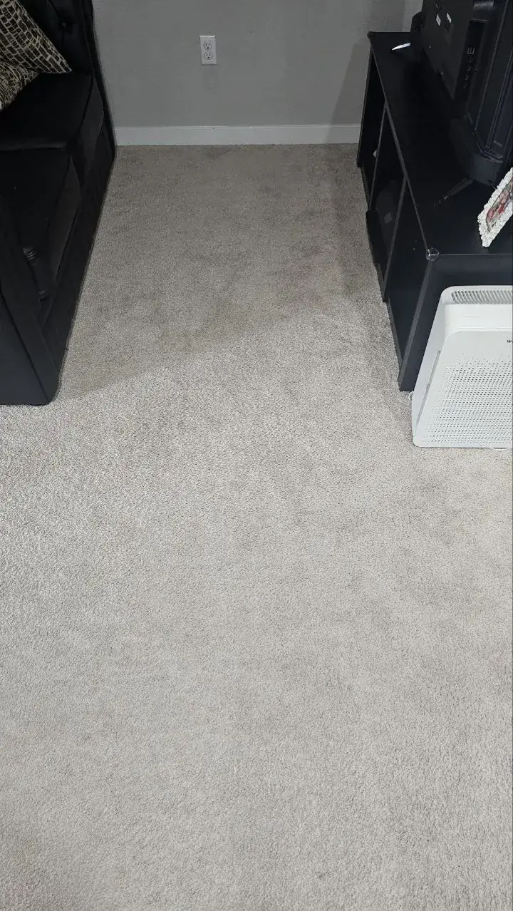 Before: bonus room carpet