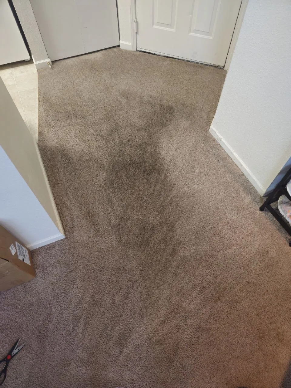 Before: hallway carpet with heavy traffic lane between two doors