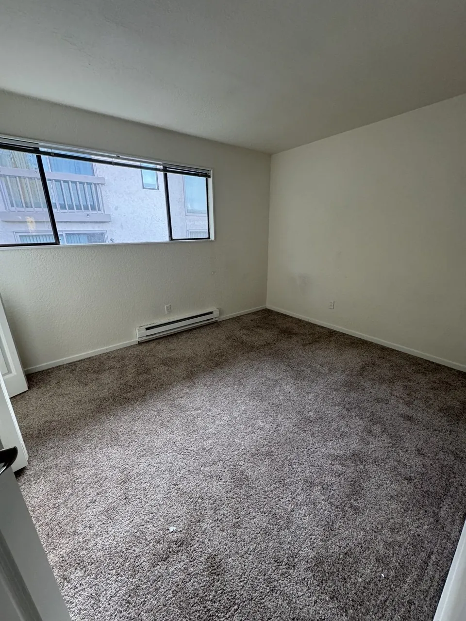 Before: apartment bedroom carpet under a wide window