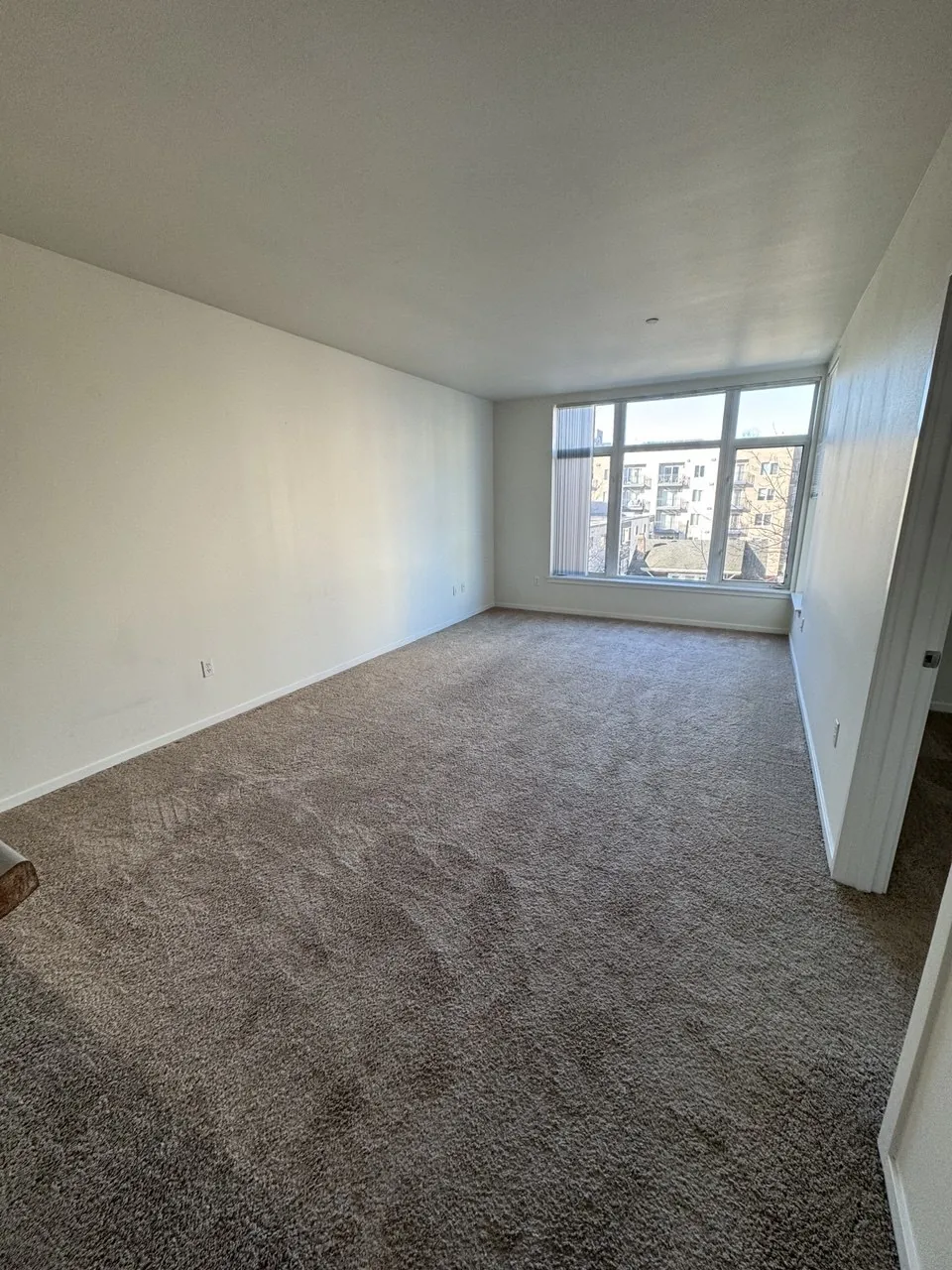 Before: apartment living room carpet facing big city-view windows