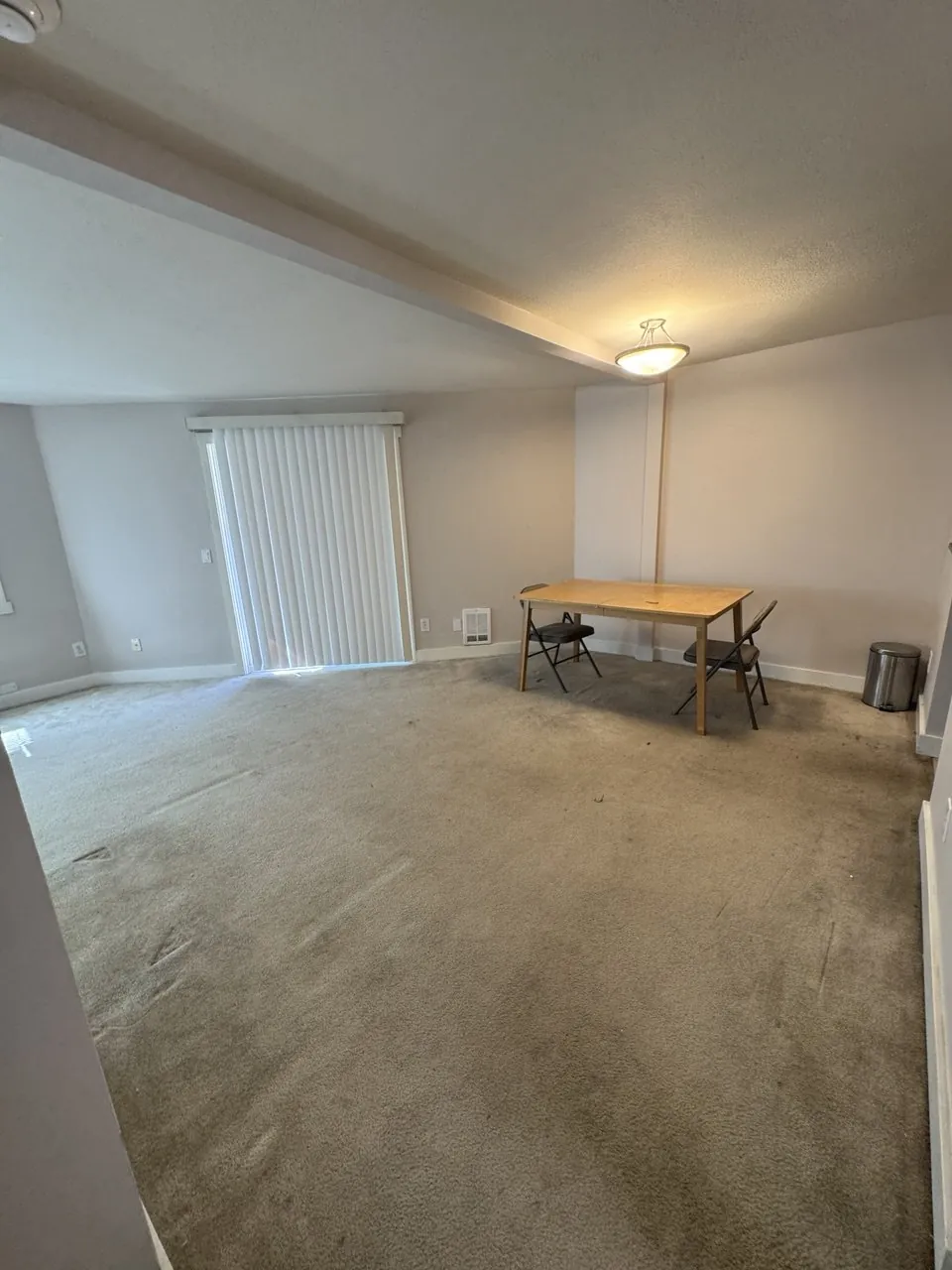 Before: dining and living area carpet by a sliding door