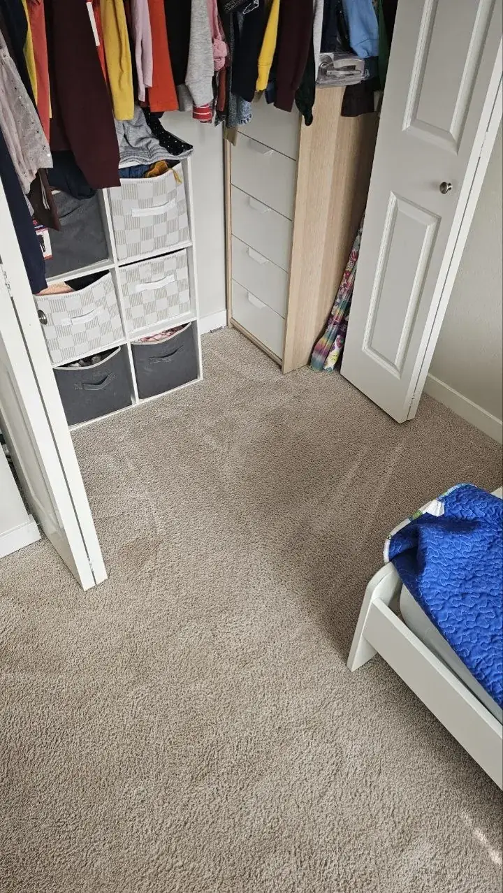 Carpet after cleaning, photo 5