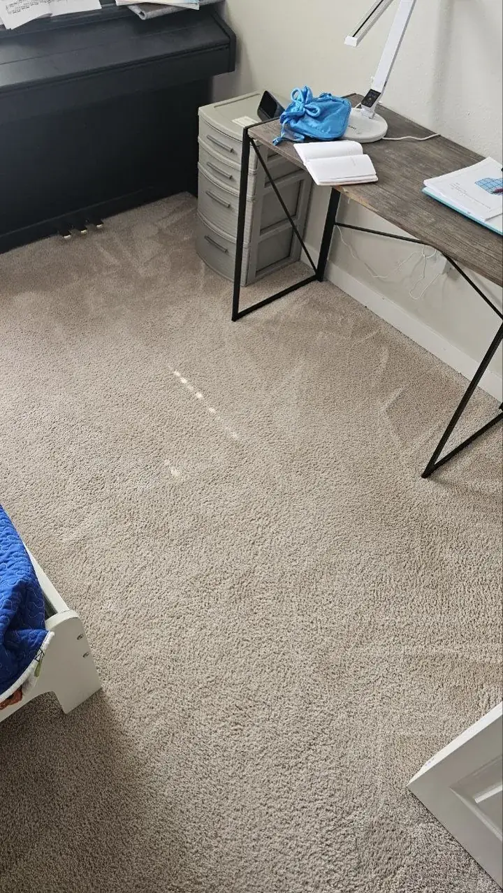 Carpet after cleaning, photo 6