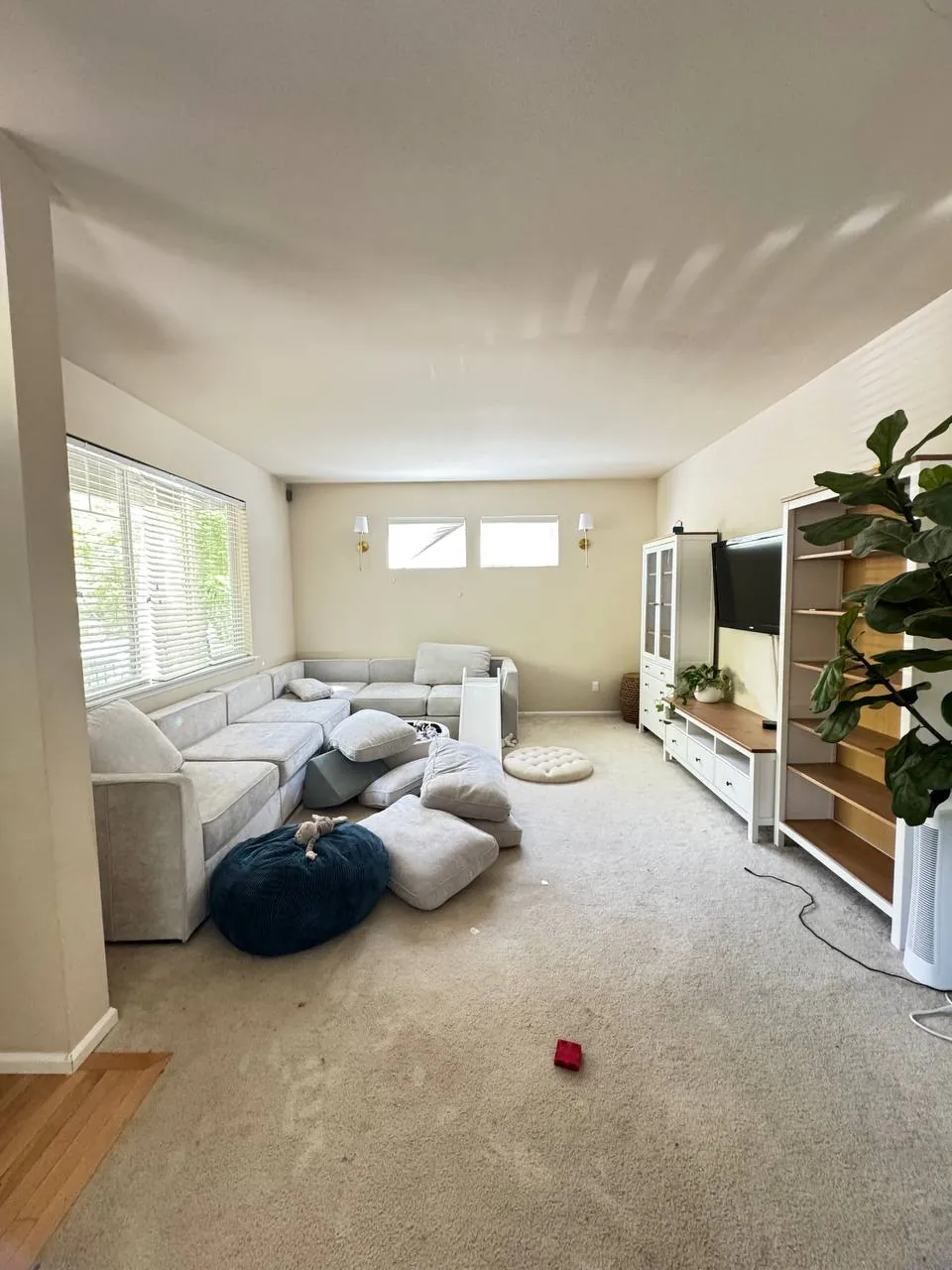 Before: family room with sectional sofa, TV wall and carpet