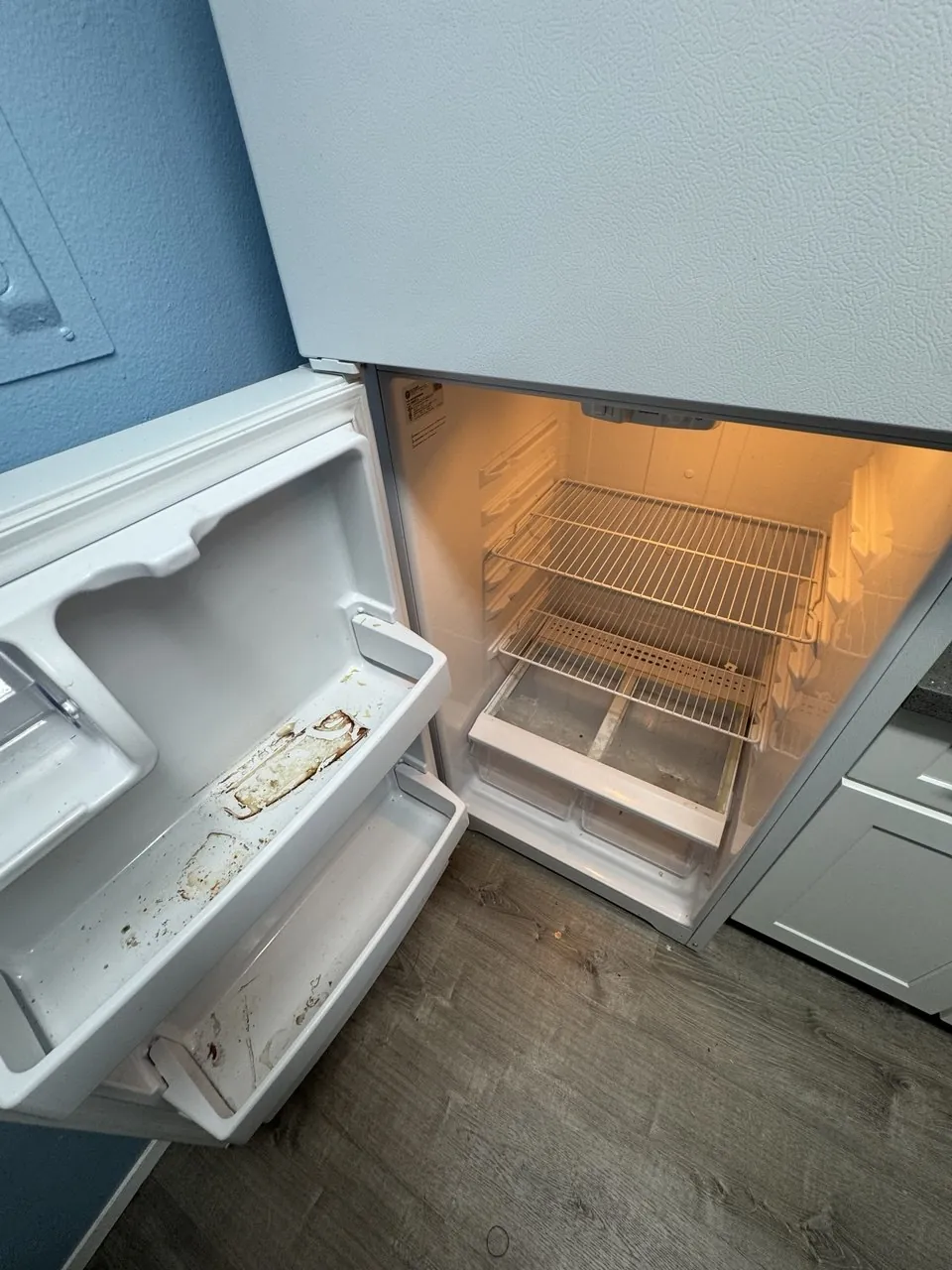 Before: refrigerator interior, shelves and door bins