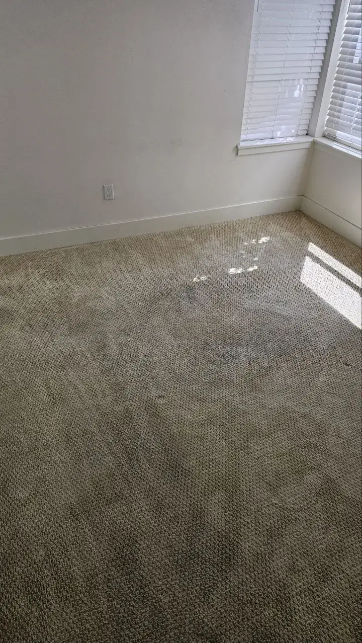 After cleaning, same spot: Move-out bedroom