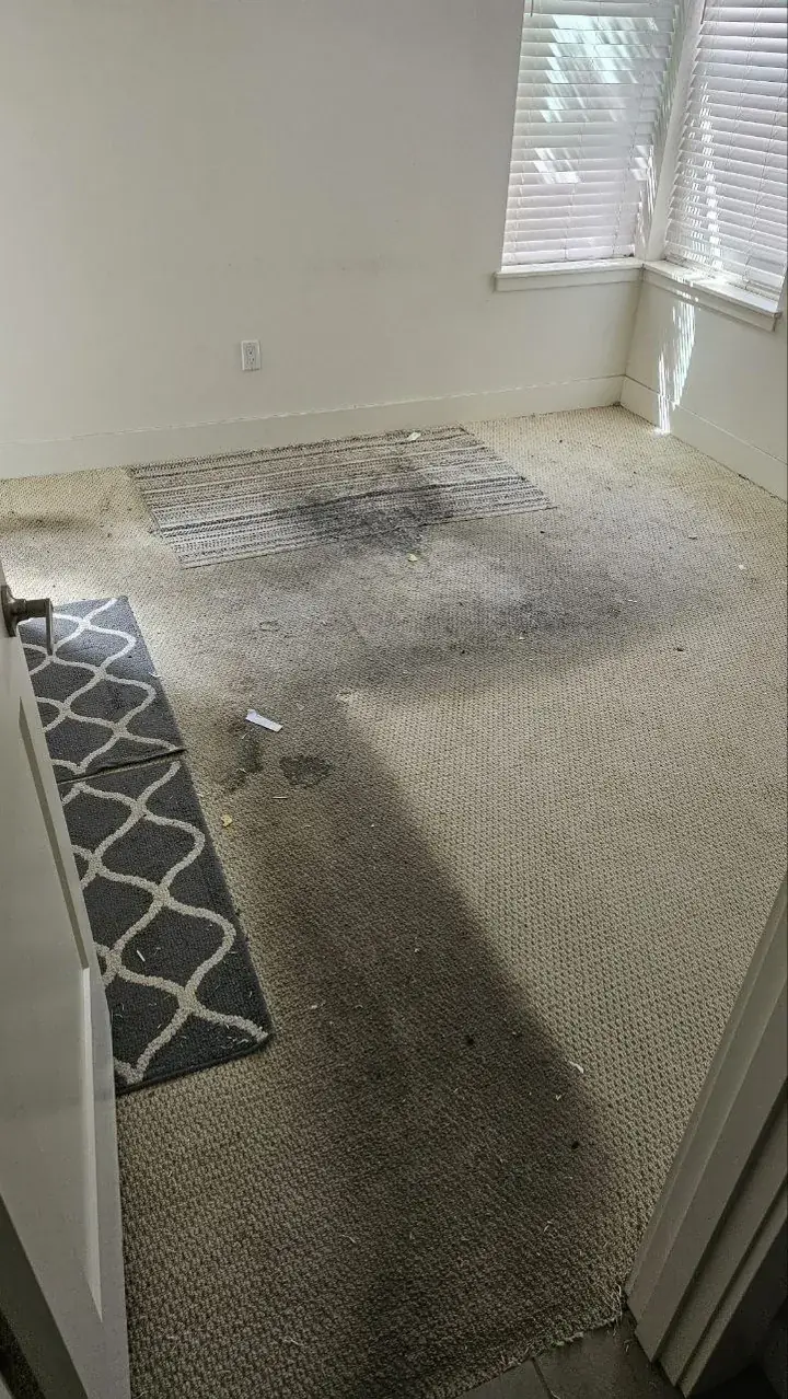 Before: heavily soiled move-out bedroom carpet