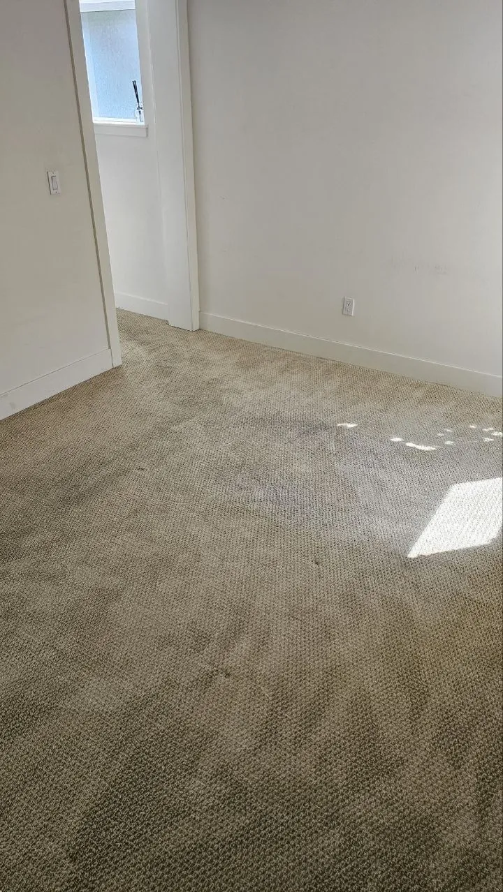 After cleaning, same spot: Move-out · Carpet