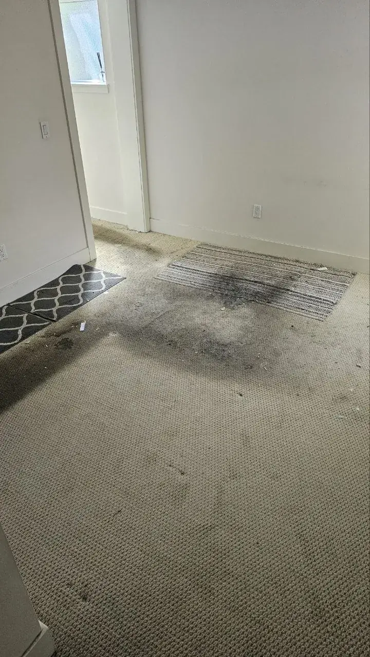 Before: heavily soiled move-out room carpet