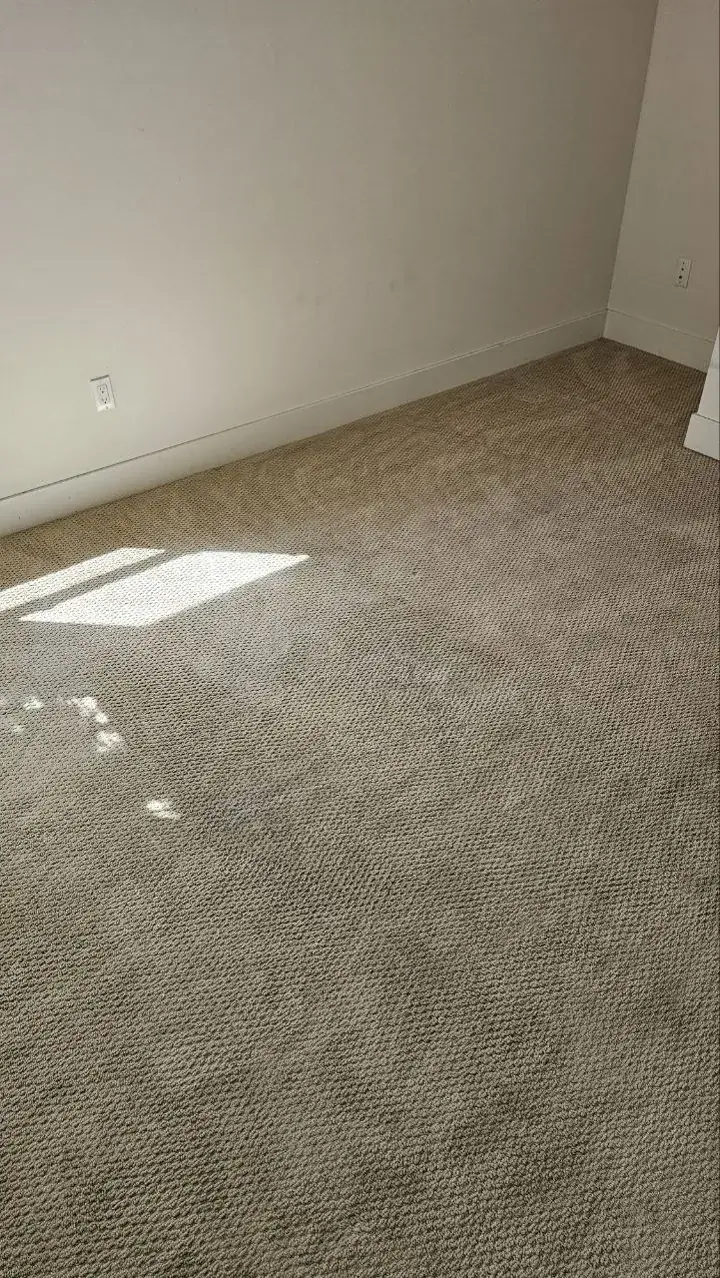 Carpet after cleaning, photo 7