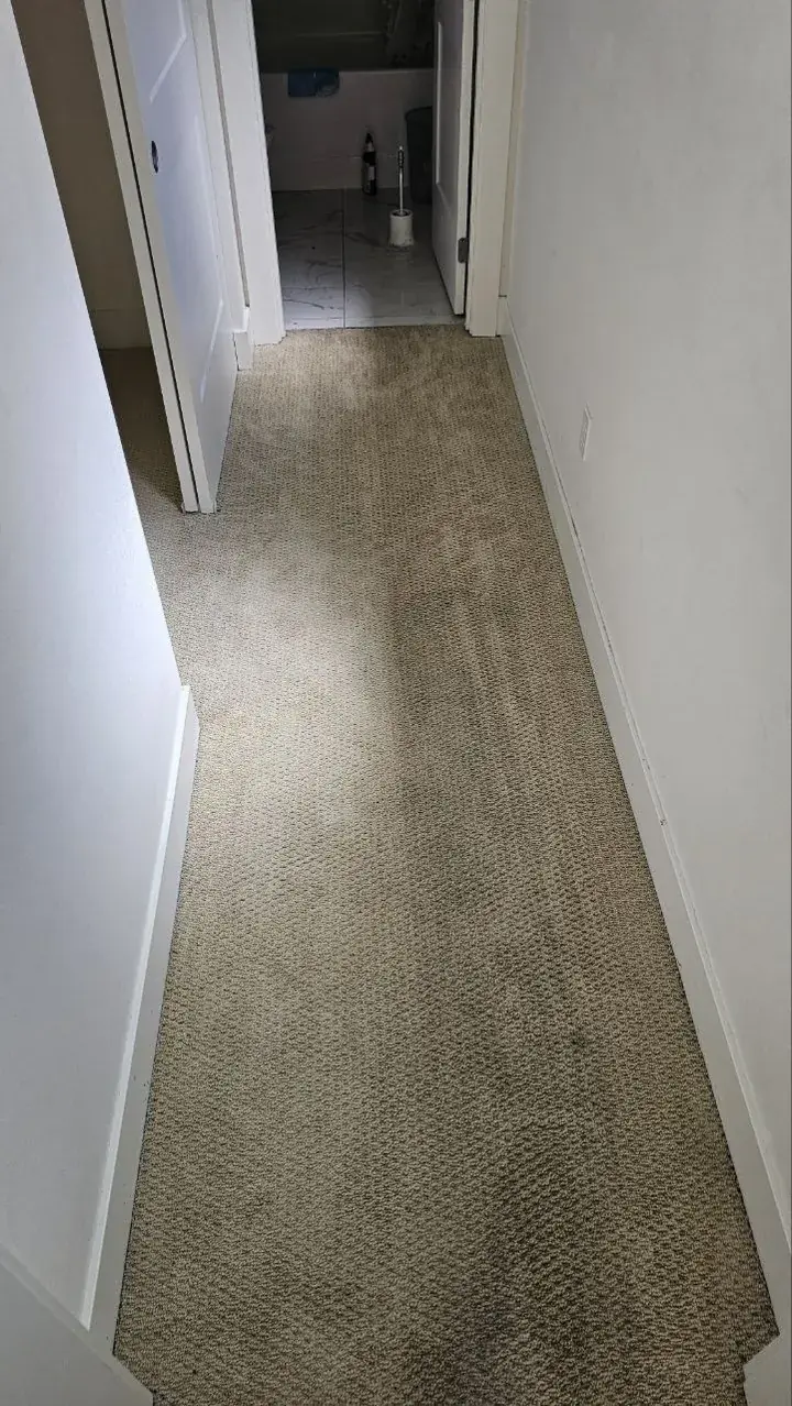Carpet after cleaning, photo 8