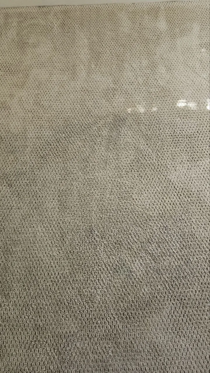 Carpet after cleaning, photo 10