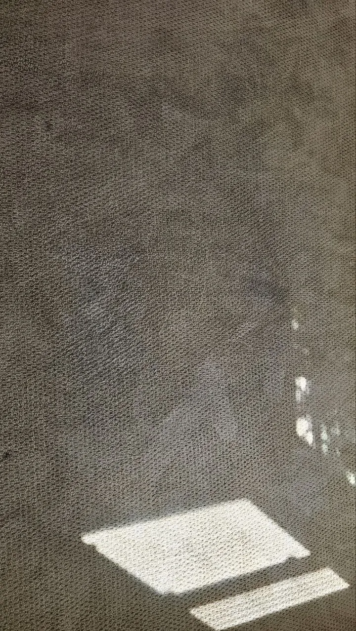 Carpet after cleaning, photo 11