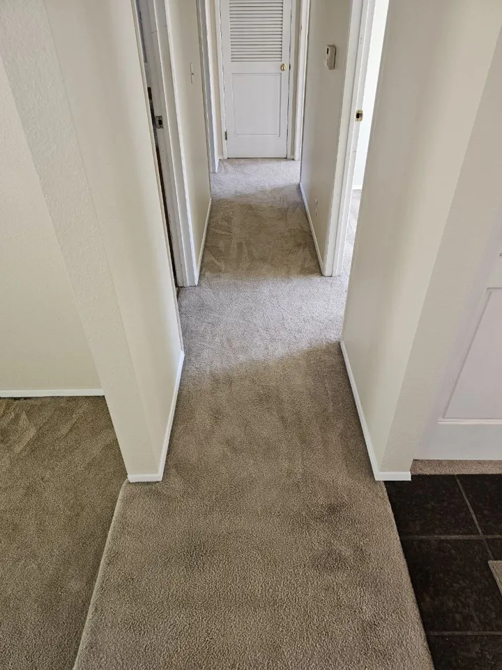 After cleaning, same spot: Hallway