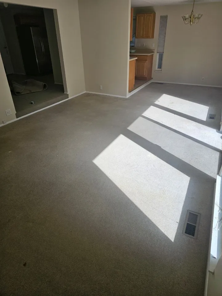 Before: vacant rental living room carpet