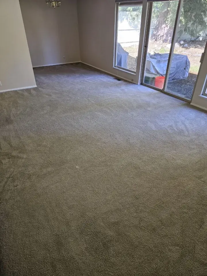 After cleaning, same spot: Family room