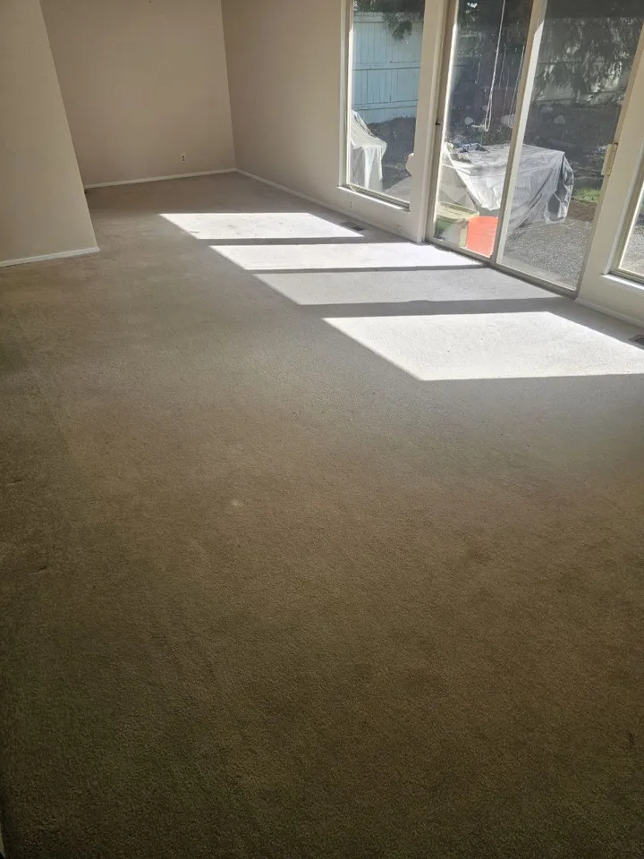 Before: vacant rental family room carpet