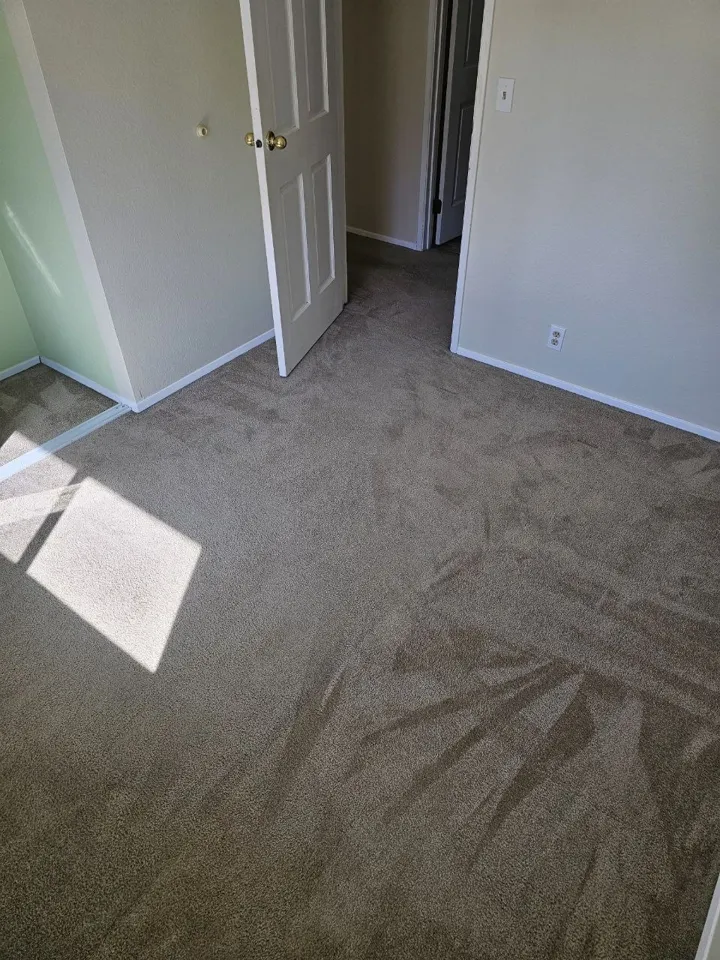 Carpet after cleaning, photo 1