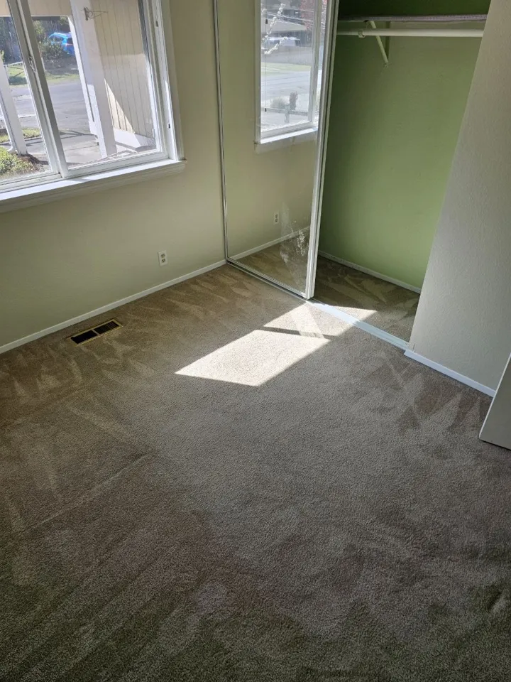 Carpet after cleaning, photo 2