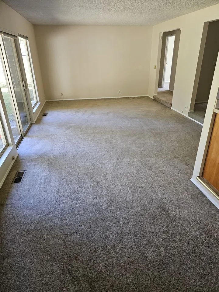 Carpet after cleaning, photo 3