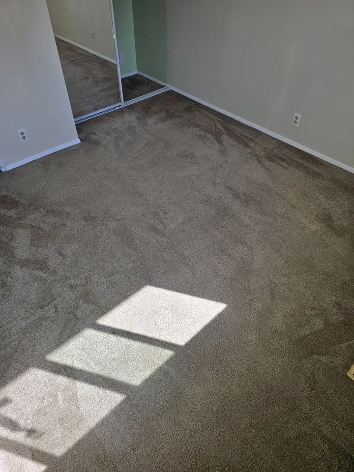 Carpet after cleaning, photo 4